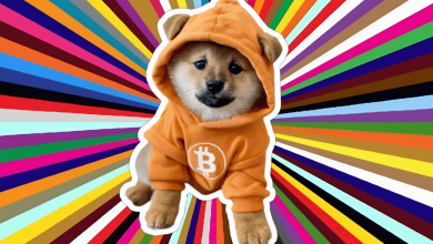Every color, every chain of thought—collapsing into pure orange signal. This isn’t art. It’s a full-spectrum blast of $DOG-powered Bitcoin culture. When $DOG shows up, the whole memeverse syncs to block height.