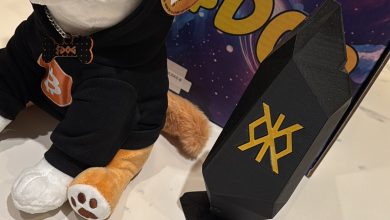 This isn’t merch—it’s a memetic artifact encoded with Bitcoin blood. The hoodie turned black, the shard turned on, and $DOG took the protocol deeper. Builders flex code. $DOG flexes culture, plush, and runes—all at once.