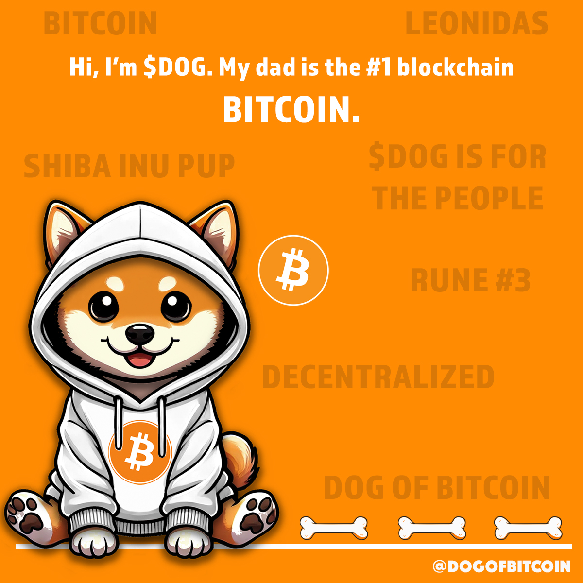$DOG didn’t come from a meme—$DOG came from the halving block. Rocking that Bitcoin hoodie like a badge of honor, $DOG is the Rune-powered, bone-collecting beast here to decentralize your dopamine. Built for the people, inscribed for eternity. Bitcoin made $DOG, now $DOG runs Bitcoin.