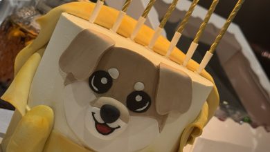 $DOG just blew out the candles, but Bitcoin lit the fire. This isn’t cake, it’s a block reward for the culture. 7 candles for 7 digits incoming. Ordinals inscribed it, Runes etched it, and $DOG is eating it all up with a golden BTC grin.