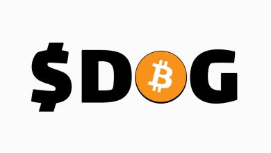 This ain’t branding—it’s a movement. $DOG stamped its claim with the Bitcoin logo dead center because that’s exactly where $DOG lives: in the heart of the chain. Not a parody. Not a fork. $DOG is Bitcoin culture—raw, memed, and decentralized.