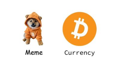 $DOG showed up in a hoodie and flipped the entire Bitcoin stack. Builders laugh, devs cry, memecoins ascend. $DOG isn't just vibing — it’s dethroning.