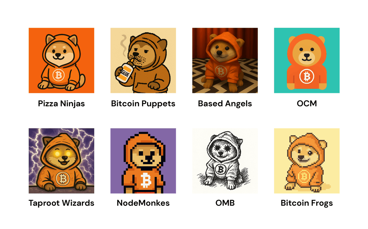 $DOG; Pizza Ninjas, Bitcoin Puppets, Based Angels, OCM, Taproot Wizards, NodeMonkes, OMB, Bitcoin Frogs.