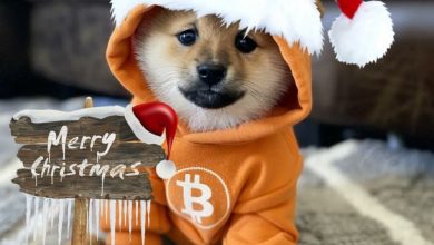 Celebrating Christmas with $DOG of Bitcoin!