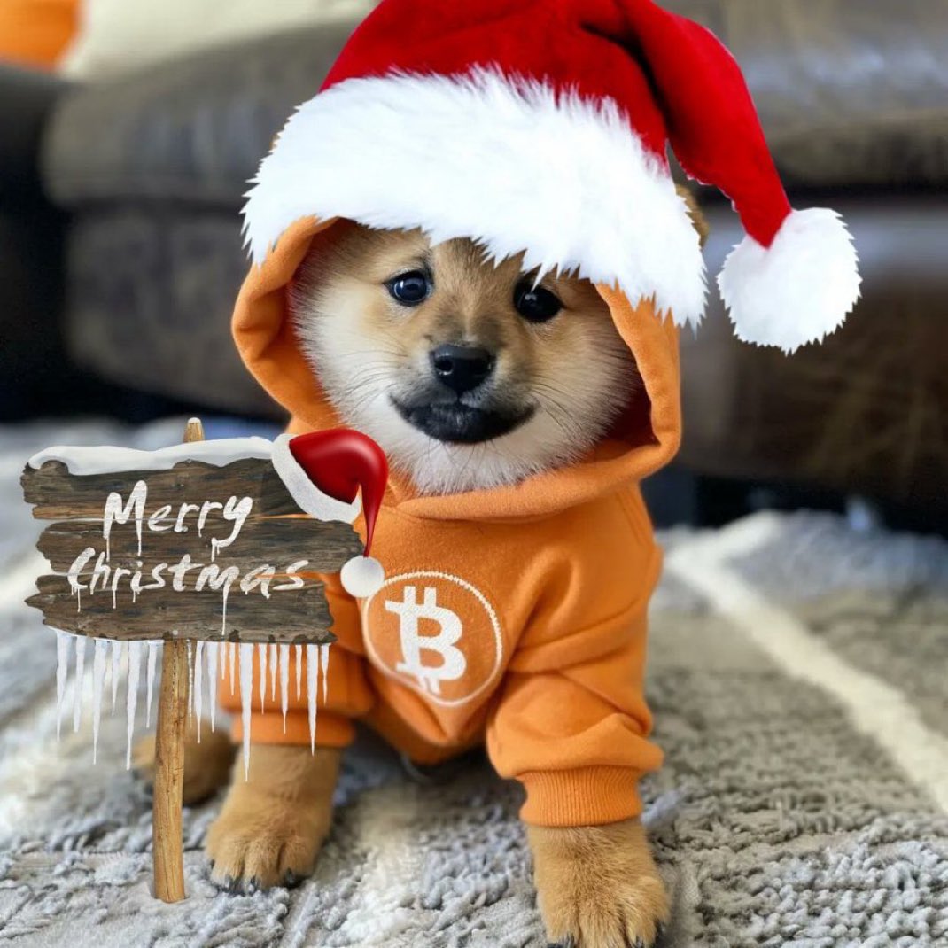 Celebrating Christmas with $DOG of Bitcoin!