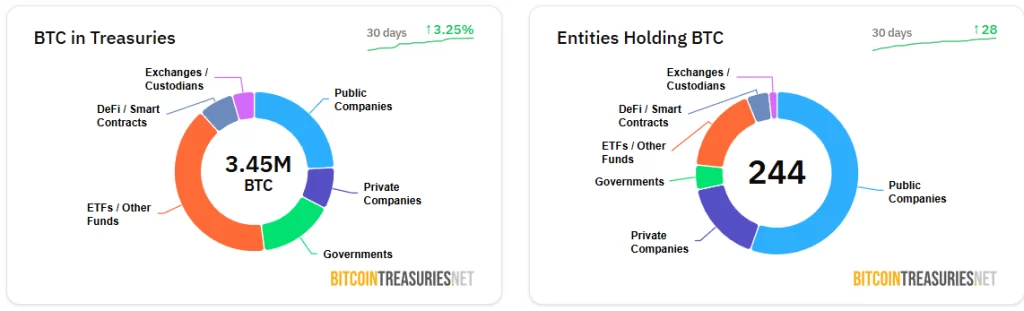 Source: BitcoinTreasuries.net