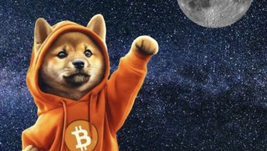 With paw extended and Bitcoin blazing, $DOG isn’t just going to the moon—he’s claiming it for the orange standard. Fiat's got gravity, but $DOG has rocket paws.