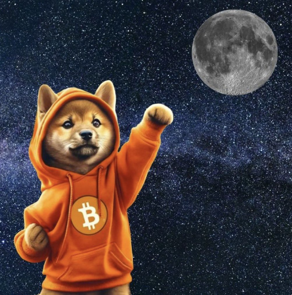 With paw extended and Bitcoin blazing, $DOG isn’t just going to the moon—he’s claiming it for the orange standard. Fiat's got gravity, but $DOG has rocket paws.