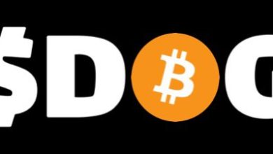 The $DOG logo hits harder when it’s rocking that bold orange ₿. Bitcoin isn’t just the network—it’s the culture, and $DOG is the meme forged in its fire.