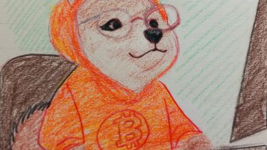 Studious and laser-focused, $DOG is deep in Bitcoin charts, decoding blocks like it’s bedtime alpha. Orange hoodie = orange pill.