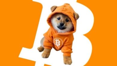 $DOG stands bold, cloaked in orange, dripped in Bitcoin — the meme warrior of the hardest money alive. No leash, just laser eyes on the next block.
