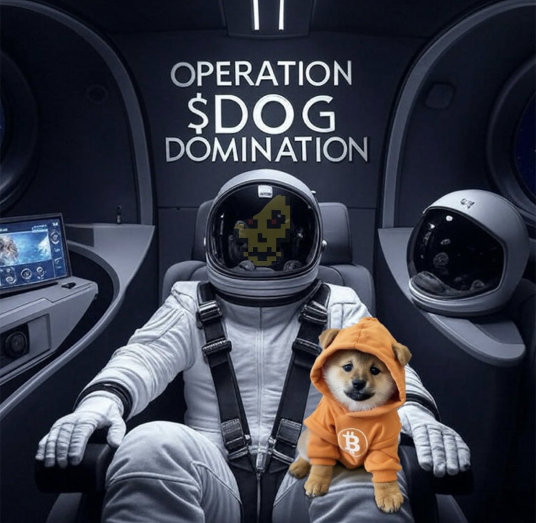 $DOG just hijacked a SpaceX cockpit in an orange Bitcoin hoodie, plotting a full-stack Bitcoin blitz from low orbit. Operation: mint, inscribe, dominate. The future of Bitcoin DeFi is wearing paws and packing payloads.