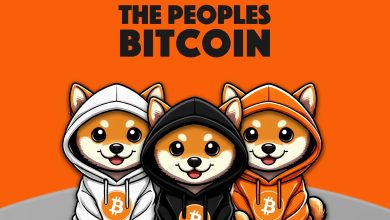 Three $DOGs, one mission: decentralize the culture stack. Hoodies loaded with pure Bitcoin drip, no premines, no dev tax—just $DOG for the people. This is not a vibe, it’s a protocol uprising.
