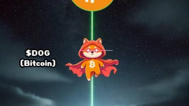 $DOG caught the inscription beam and got launched straight into Bitcoin orbit. No cape needed—just a memecoin soul and a block-height destiny. This is what happens when $DOG meet protocol power.