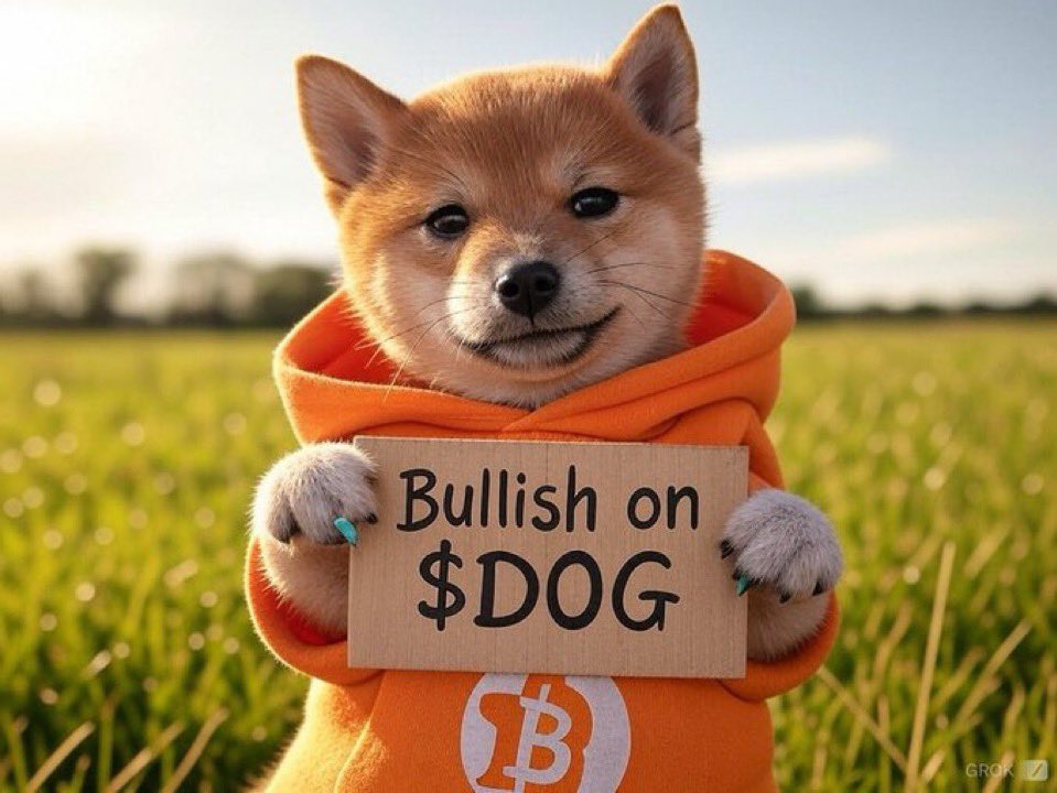 $DOG came out the memepool holding receipts and a cardboard TA report. No fluff, no pump group—just straight-up Bitcoin-native bark with a hoodie and conviction.