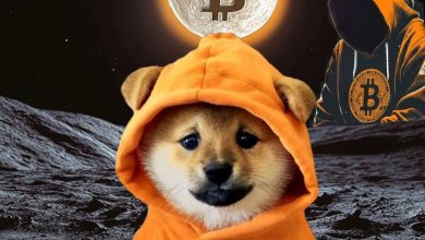 $DOG touched down on the lunar memepoint rocking an orange hoodie like it's a Bitcoin war flag. Behind him, Leonidas watches as the moon turns into a BTC rune forge. Community airdropped, hoodie zipped, mission: dethrone old clowns.