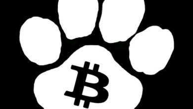 $DOG stomped through the memepool and etched a pawprint in pure sat heat. This isn’t art, it’s runestone warfare. Bitcoin belongs to the loudest pack — and $DOG howls loudest.