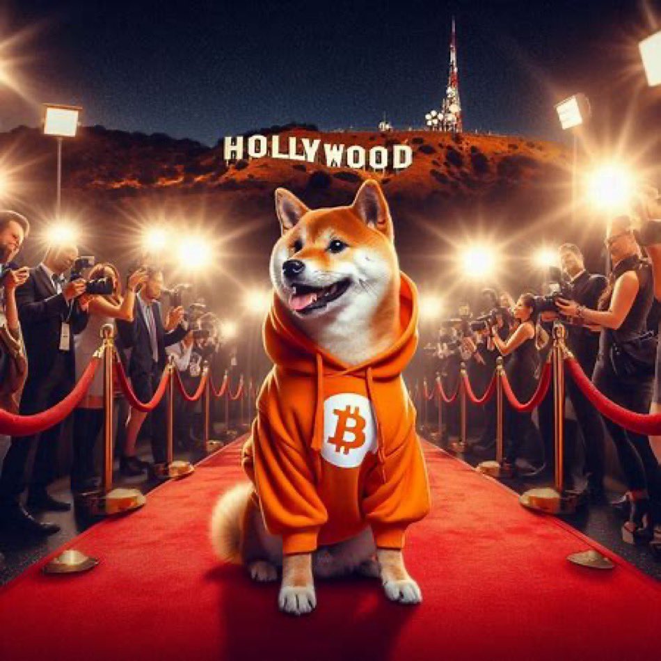 No VCs, no agents, just pure Bitcoin drip in an orange hoodie. $DOG doesn’t need a script; Runes already wrote the legend.