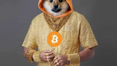 Bitcoiners be like! I'm in it for the tech!