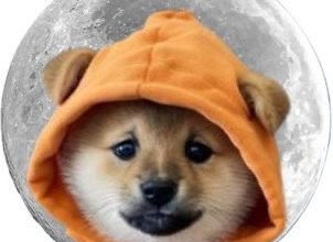 This ain’t a destination, it’s a state of chain. $DOG merged with Bitcoin gravity and now every sat orbits the meme.
