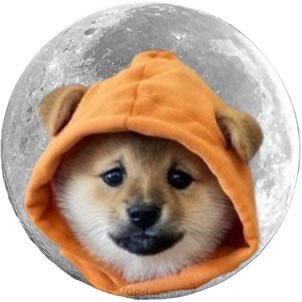 This ain’t a destination, it’s a state of chain. $DOG merged with Bitcoin gravity and now every sat orbits the meme.