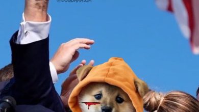 This ain’t paper-handed politics—$DOG bleeds sats and keeps stacking. Bitcoin memecoins don’t flinch, they double down.