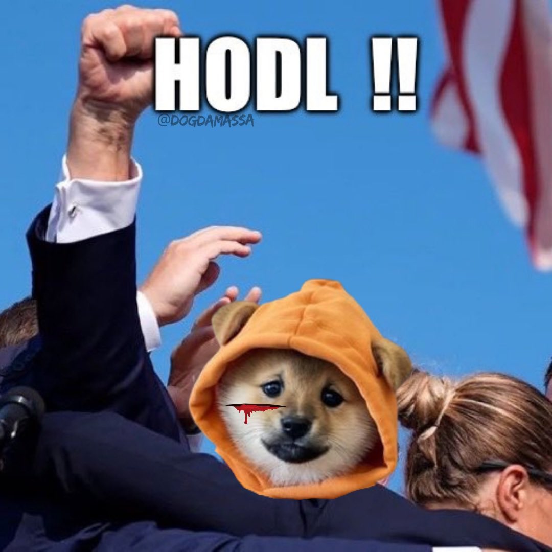 This ain’t paper-handed politics—$DOG bleeds sats and keeps stacking. Bitcoin memecoins don’t flinch, they double down.