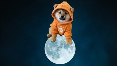 Perched on pure Bitcoin glow, $DOG staked its claim where only the memecoin elite ascend. No launchpad, no fluff—just Runes, sats, and gravity-defying vibes.