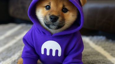 $DOG showed up in the Kraken hoodie like it owns the order books. But under that purple shell? Pure Bitcoin fire. $DOG’s just scouting CEX territory before unleashing the next Rune blitz.