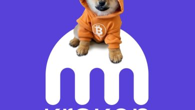 Perched on the logo like it’s block one, $DOG flexes the Bitcoin hoodie with no permission asked. This isn’t a listing—it’s a hostile takeover in pure sat style.