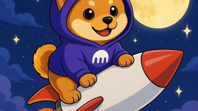 No astronauts, no mission control—just $DOG in a Kraken hoodie torching toward the moon. Every star it passes? This isn’t a moon mission, it’s a memecoin coup.