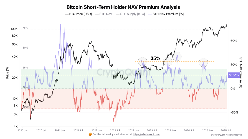 Bitcoin short-term holder NAV analysis. Source: CryptoQuant