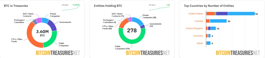Source: BitcoinTreasuries.NET