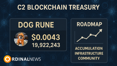 C2 Blockchain Buys 20M $DOG Rune Tokens