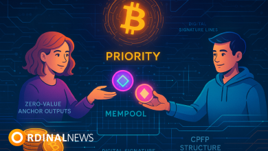 Rijndael’s “Slugline” Lets You Pay Bitcoin Transaction Fees with Runes