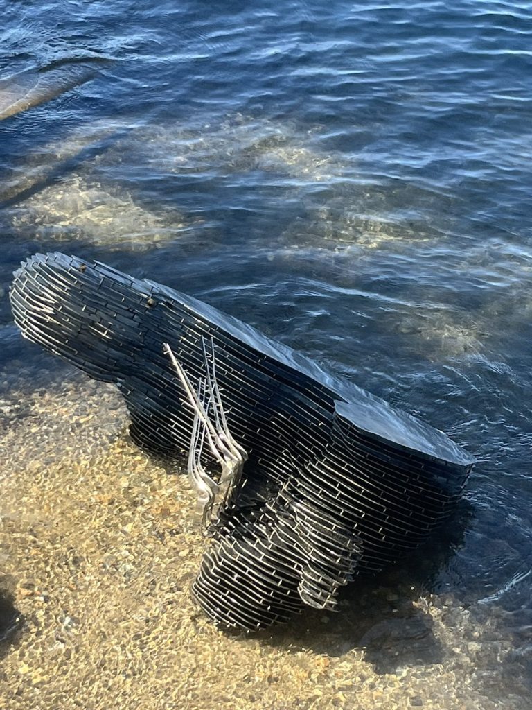 A portion of the statue thrown into the waters of the lake. Source: Gritto