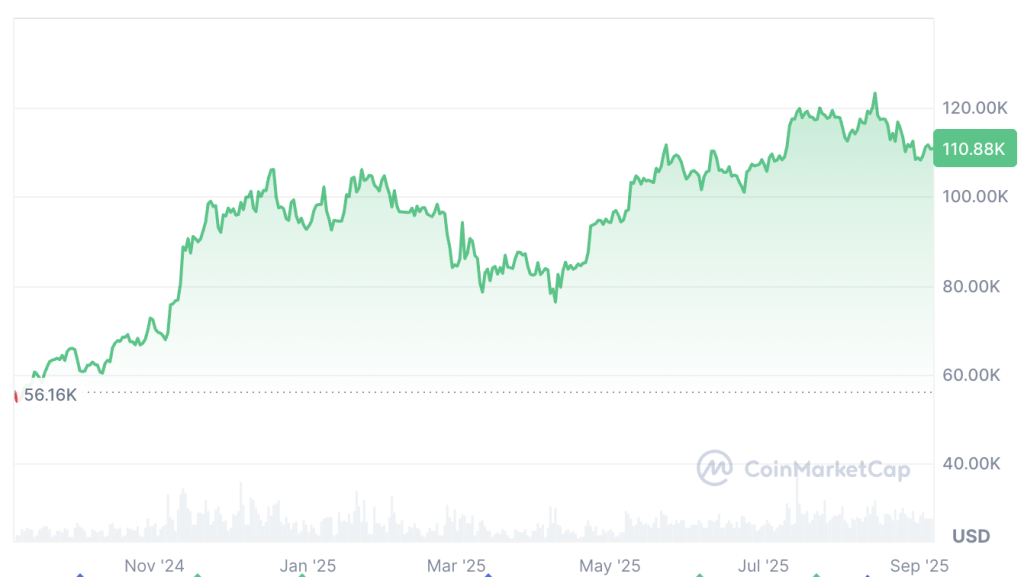 Bitcoin is up 96.15% over the past 12 months. Source: CoinMarketCap