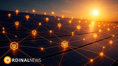 Daylight DePIN raises $75M for decentralized solar network