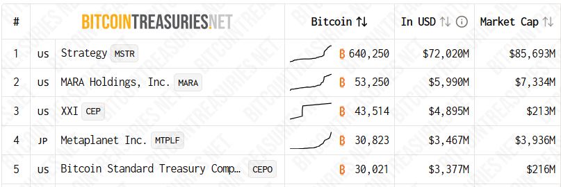 Strategy has a significant lead among Bitcoin holding companies. Source: BitcoinTreasuries.NET